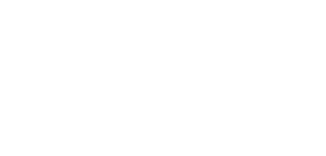 Desert Drone Co. Company logo of a turtle with propeller toenails.